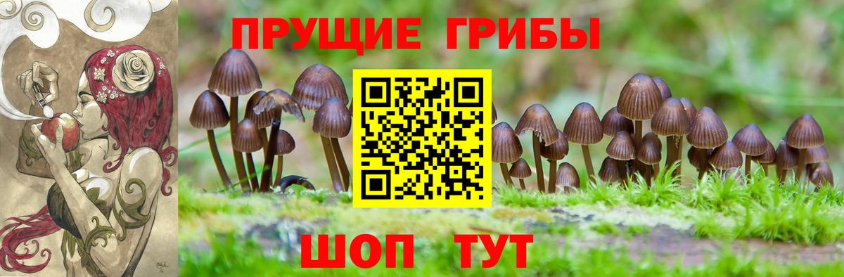 Галлюциногенные грибы мицелий  Вход с VPN  Сарапул  Галлюциногенные грибы мухоморы 
